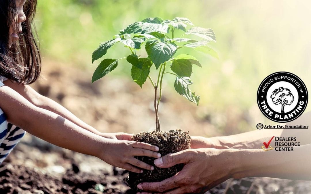 DRC Joins the Arbor Day Foundation’s Time for Trees™ Initiative 2021